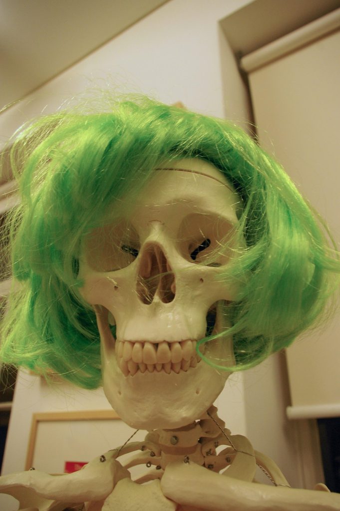 A model skeleton wearing a green wig